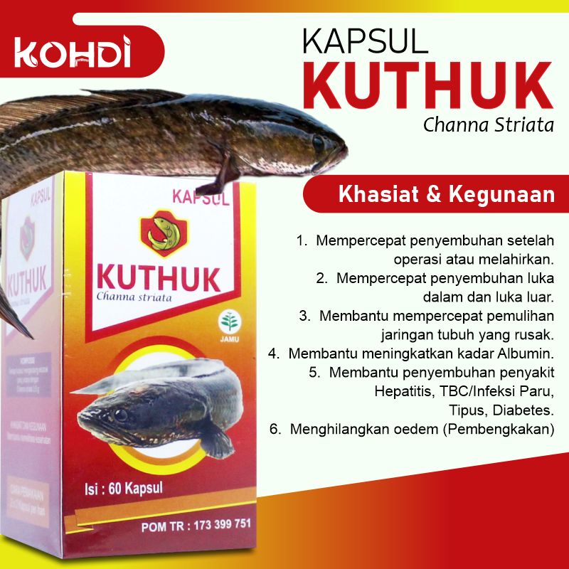 KAPSUL KUTHUK 60kps